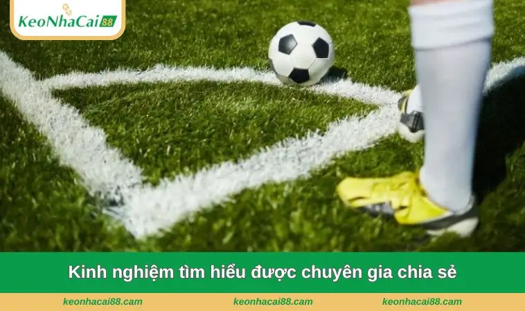 Kinh nghiệm tìm hiểu được chuyên gia chia sẻ