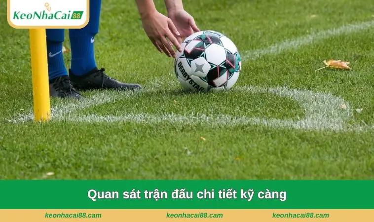 Quan sát trận đấu chi tiết kỹ càng